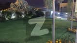26 