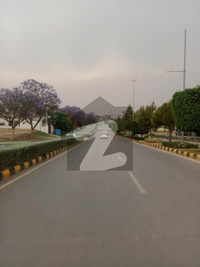 نیو