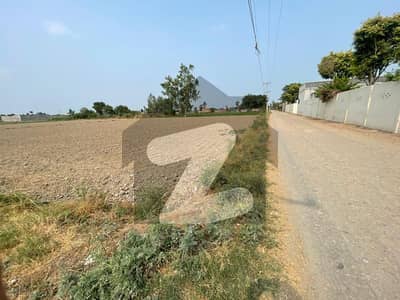 بیدیاں