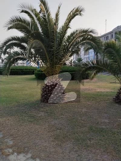 بحریہ
