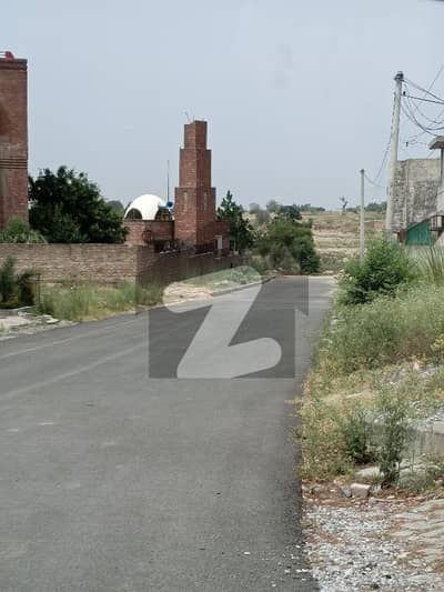 نیو