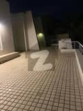 26 