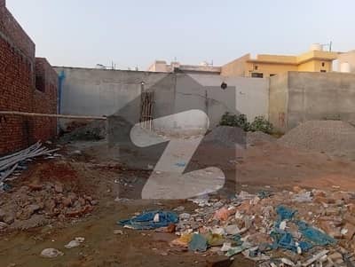صنوبر