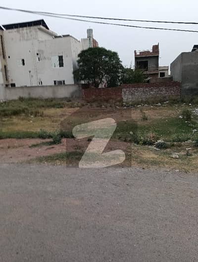 ویلینشیاء