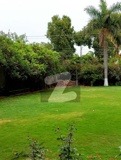 Beautiful House Available for Rent in University Town Peshawar