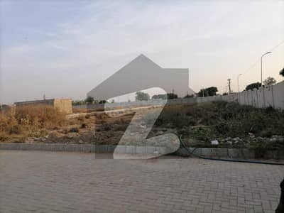 الجدید