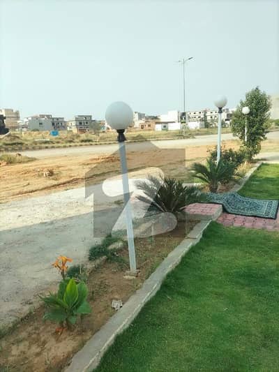 تاج