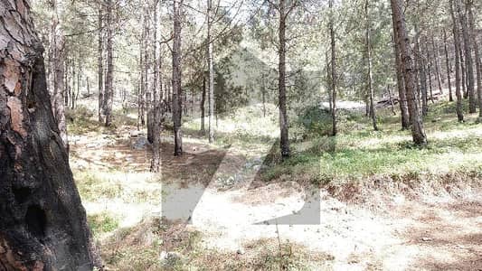 Possasion + Construction Only On 50% Down Payment Ready Your Huts Or Farmhouse On First Payment Remaning Amount On 2 Year Installment Plan