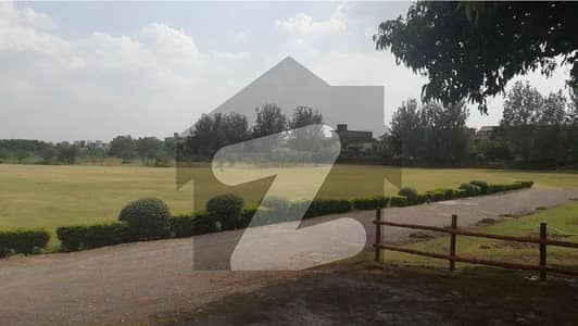 Farmhouse For Sale | 5 Acres | 450 Ft Front | Lush Green Estate | Ideal For Private Living Or Investment