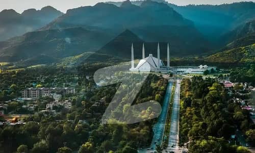 ڈی