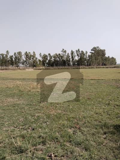 بیدیاں