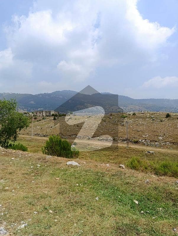 5 Marla Residential Plot Is Available For Sale 5 Marla Residential Plot Is Available For Sale
