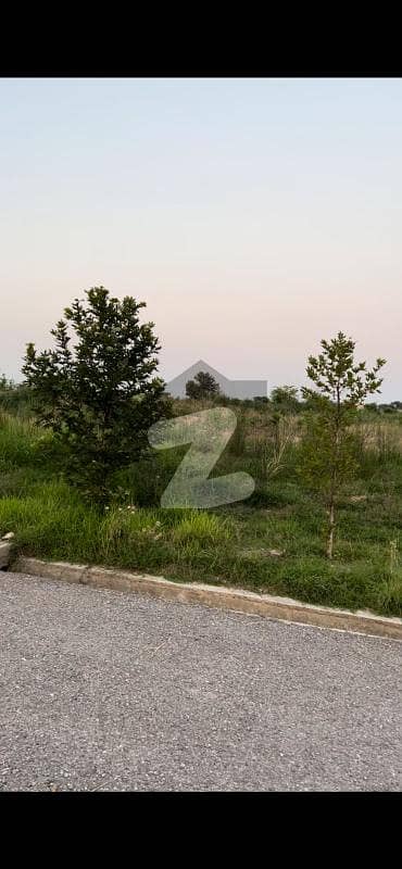 Plot for sale (50x90) Plot for sale (50x90)