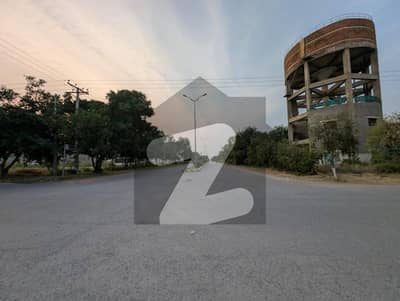 ریگی