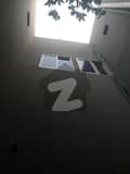 21 