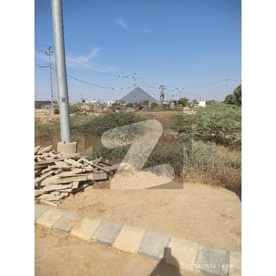 اسٹیٹ