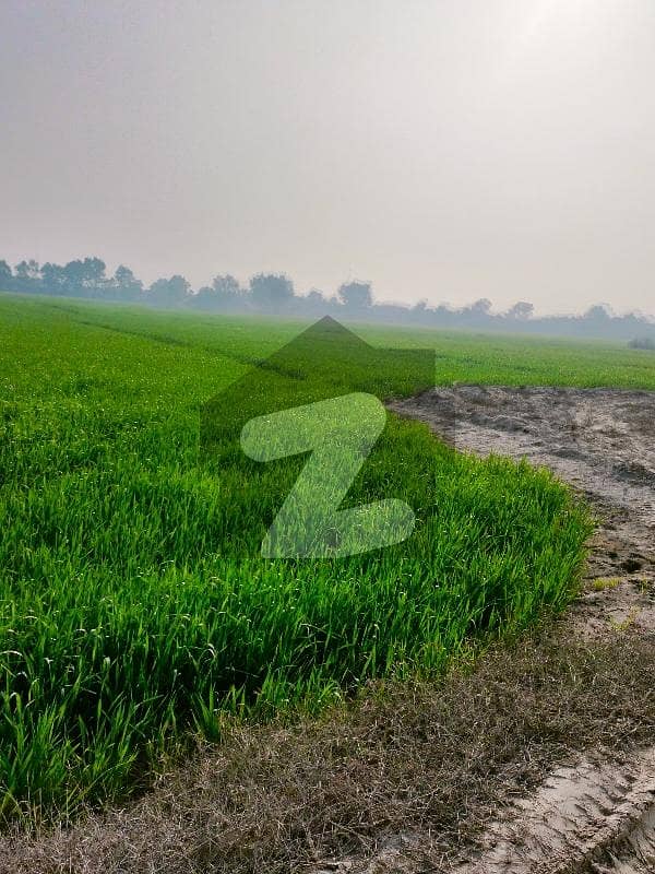 Agricultural Land For sale In Beautiful Multan Bypass Agricultural Land For sale In Beautiful Multan Bypass