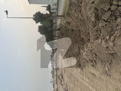 سٹی