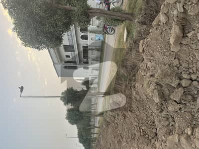 سٹی