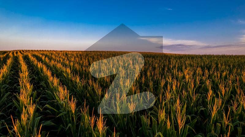 48 KANAL INDUSTRIAL LAND FOR SALE IN OPPOSITE SADAQAT BYPASS KHURAINWALA SEEM FRONT + MAIN ROAD FRONT
