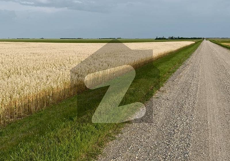 32 KANAL INDUSTRIAL LAND FOR SALE NEAR KHURAINWALA SADAQAT BYPASS 32 KANAL INDUSTRIAL LAND FOR SALE NEAR KHURAINWALA SADAQAT BYPASS