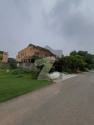 ڈی