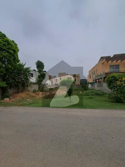 Plot