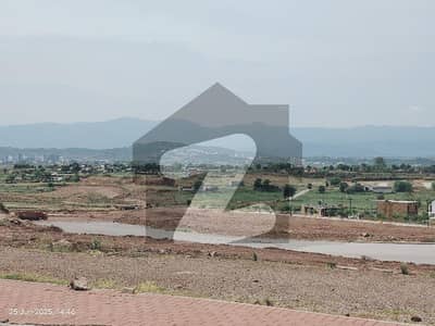 Sector