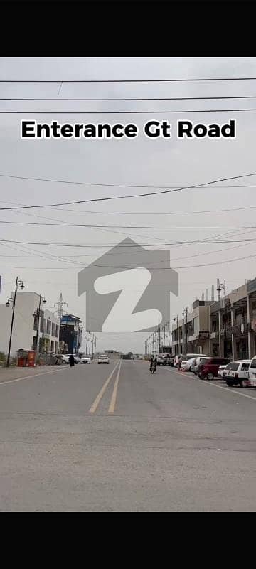 نیو