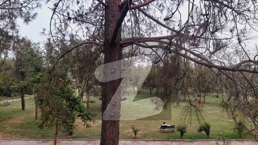 Margalla View Estate! 8 Kanal (4+4) Land with House for Sale | Prime Main Road Front