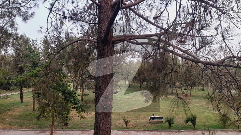 Margalla View Estate! 8 Kanal (4+4) Land with House for Sale | Prime Main Road Front Margalla View Estate! 8 Kanal (4+4) Land with House for Sale | Prime Main Road Front