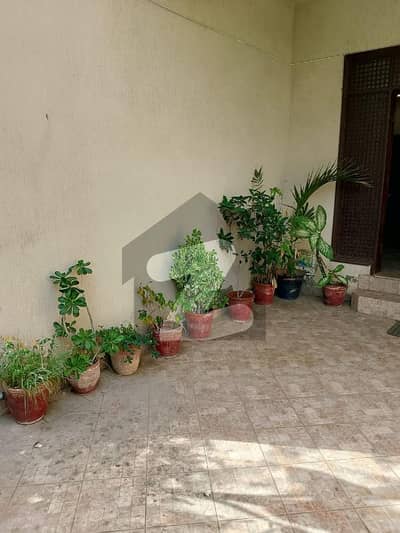 ڈی