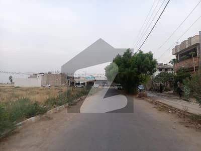سعدی