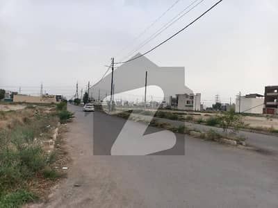 سعدی