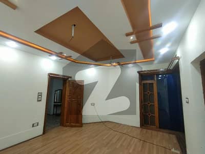 حیات