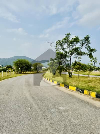 ڈی