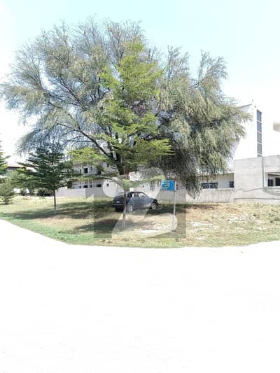 Corner