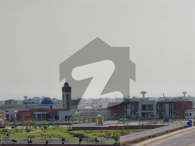 20 