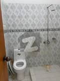20 