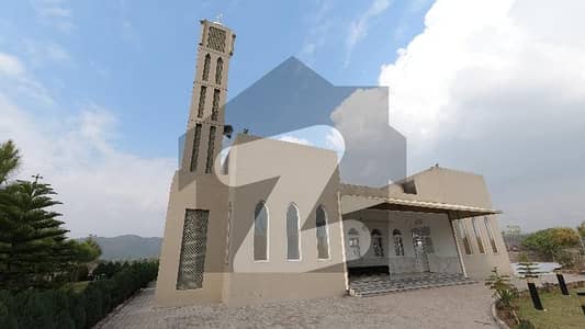 Sector D Plot Is Available For Sale