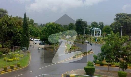 چیئرمین