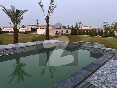 Near To DHA Phase 6 Daily Basis