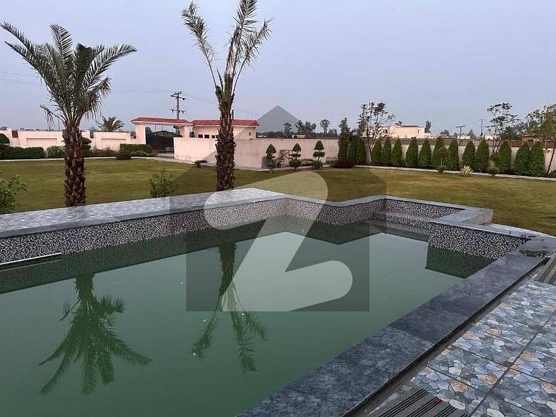 Near To DHA Phase 6 Daily Basis Near To DHA Phase 6 Daily Basis