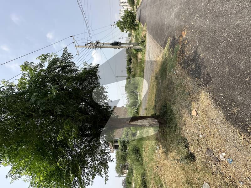Residential Plot For sale In I-16/1 Residential Plot For sale In I-16/1