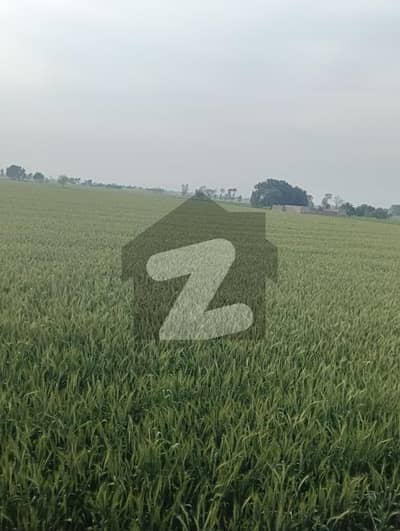 1000 Acres Agriculture land sale Bhakkar only 80 crore