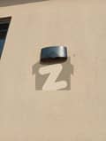 29 