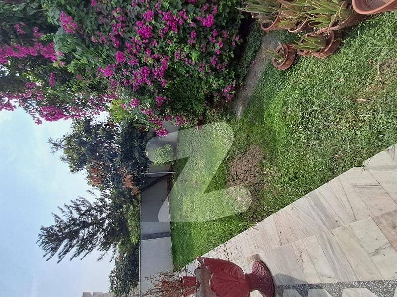 F-10 Beautiful House 2 kitchen available for rent F-10 Beautiful House 2 kitchen available for rent