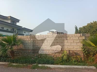 F11/1