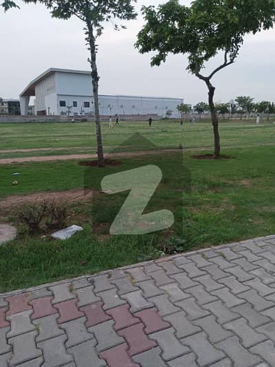 گلبرگ