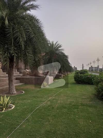 سٹی